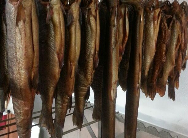 https://www.rosenmuehle.fish